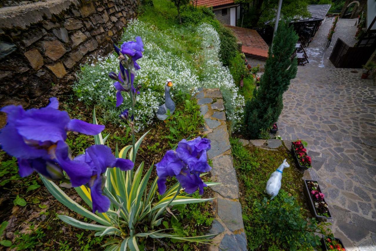 Hotel Manastir Sv. Joakim Osogovski Kriva Palanka Exteriér fotografie